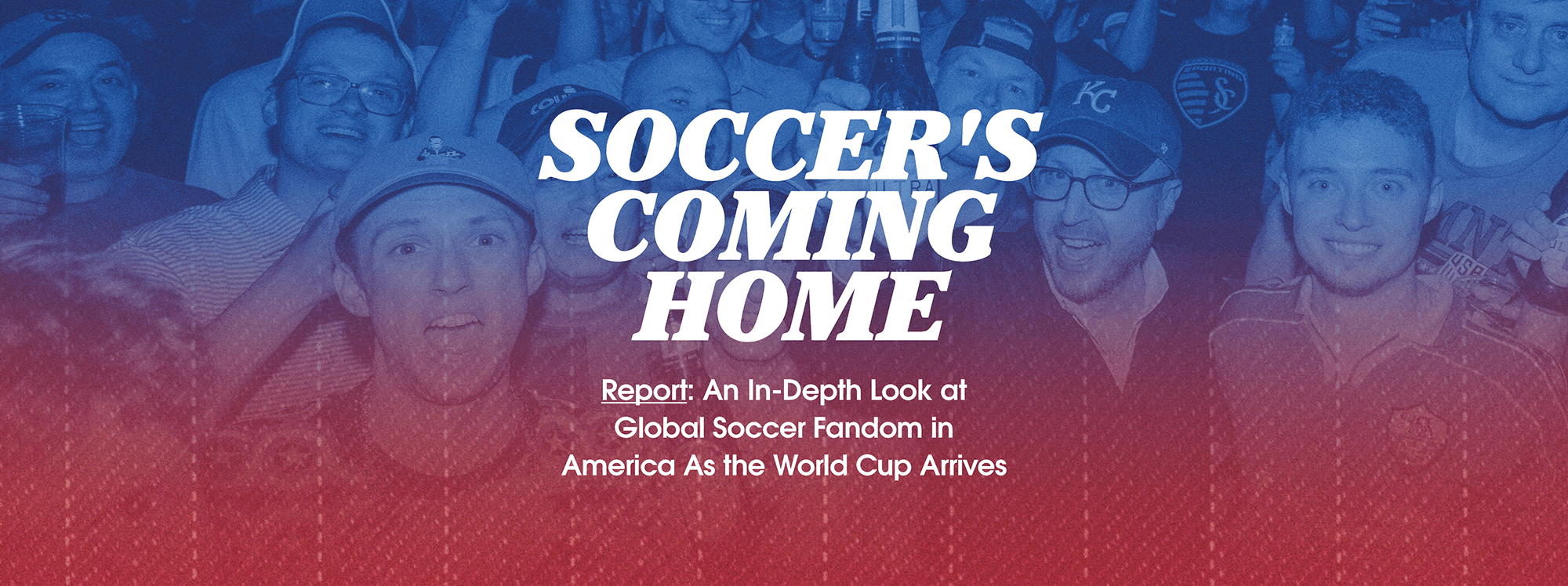 MiB Survey Report header image