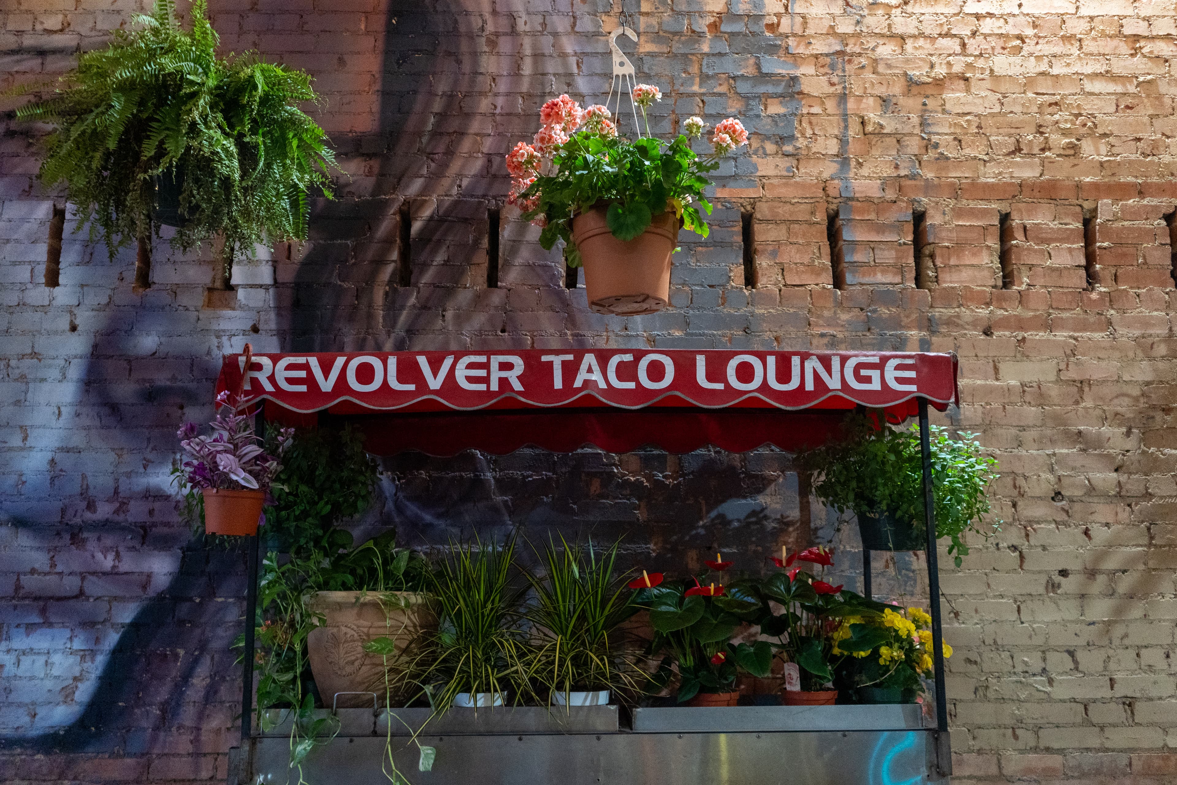 Revolver Taco Lounge
