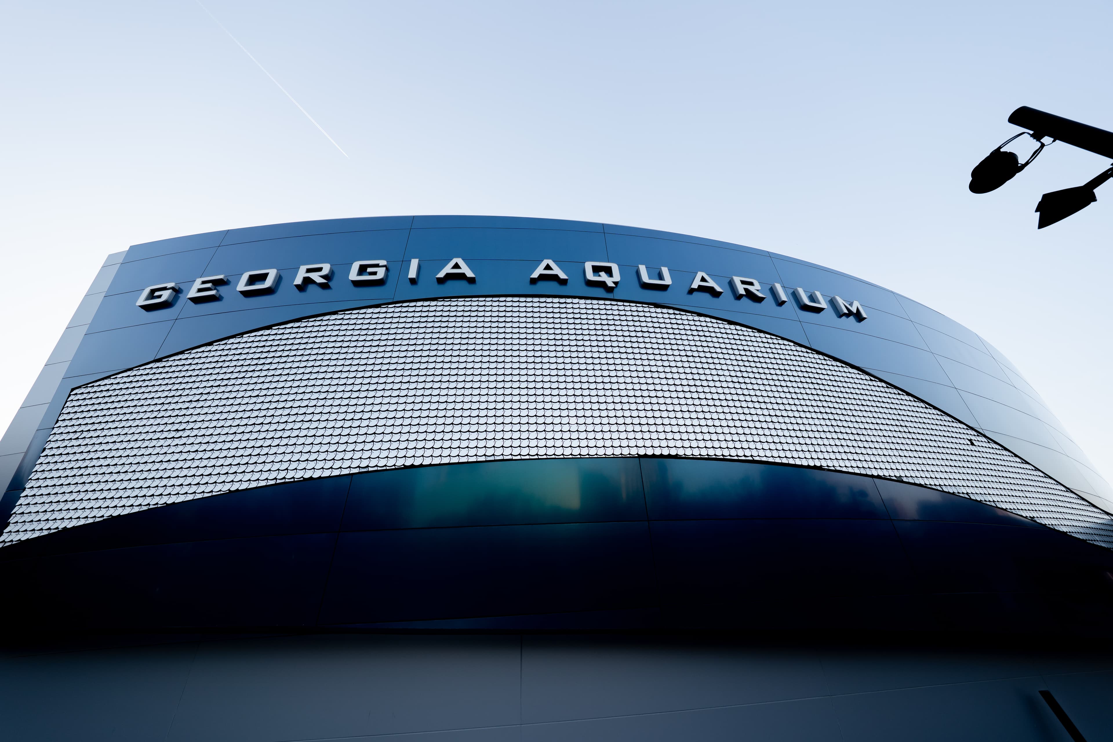 Georgia Aquarium