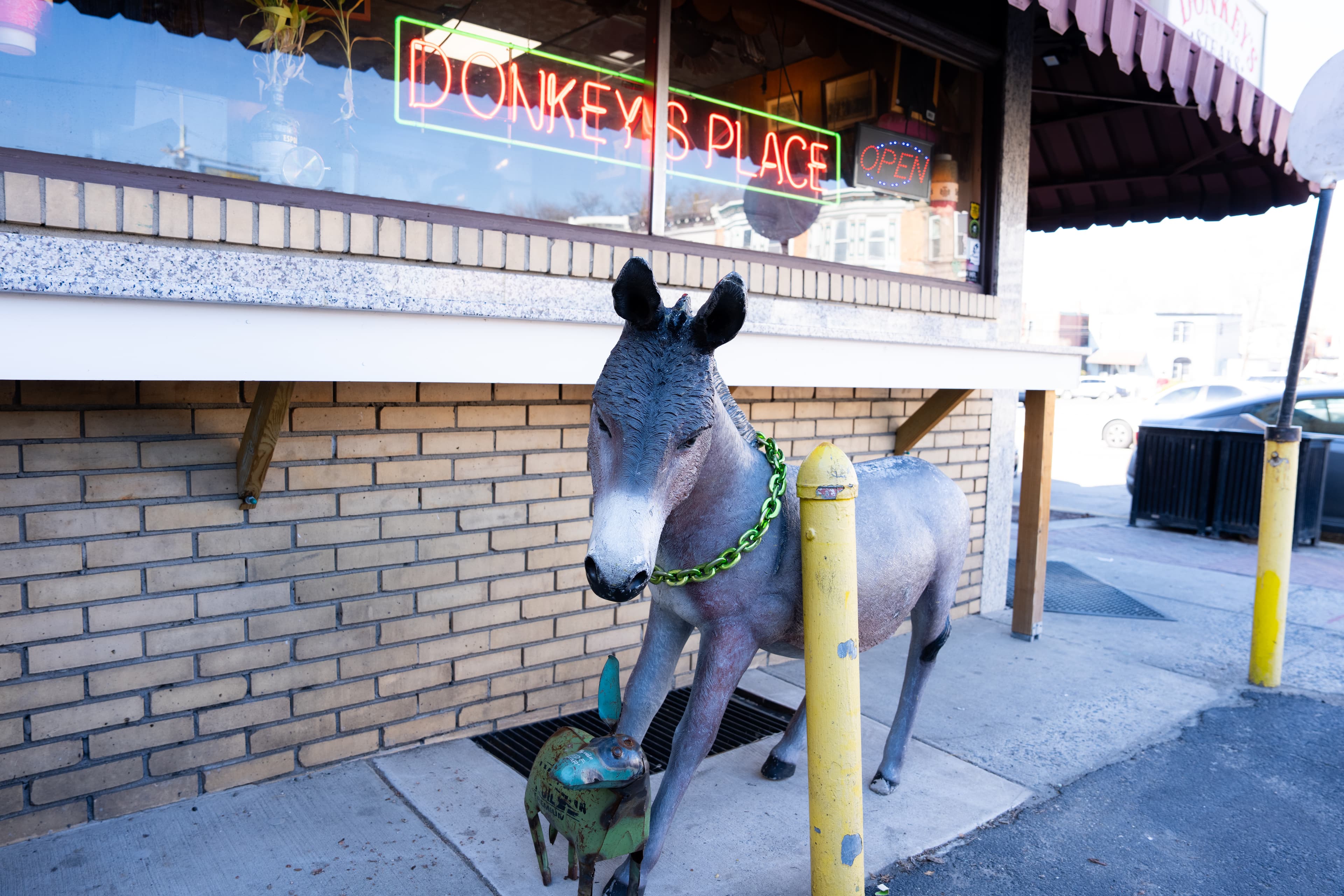 Donkey's Place