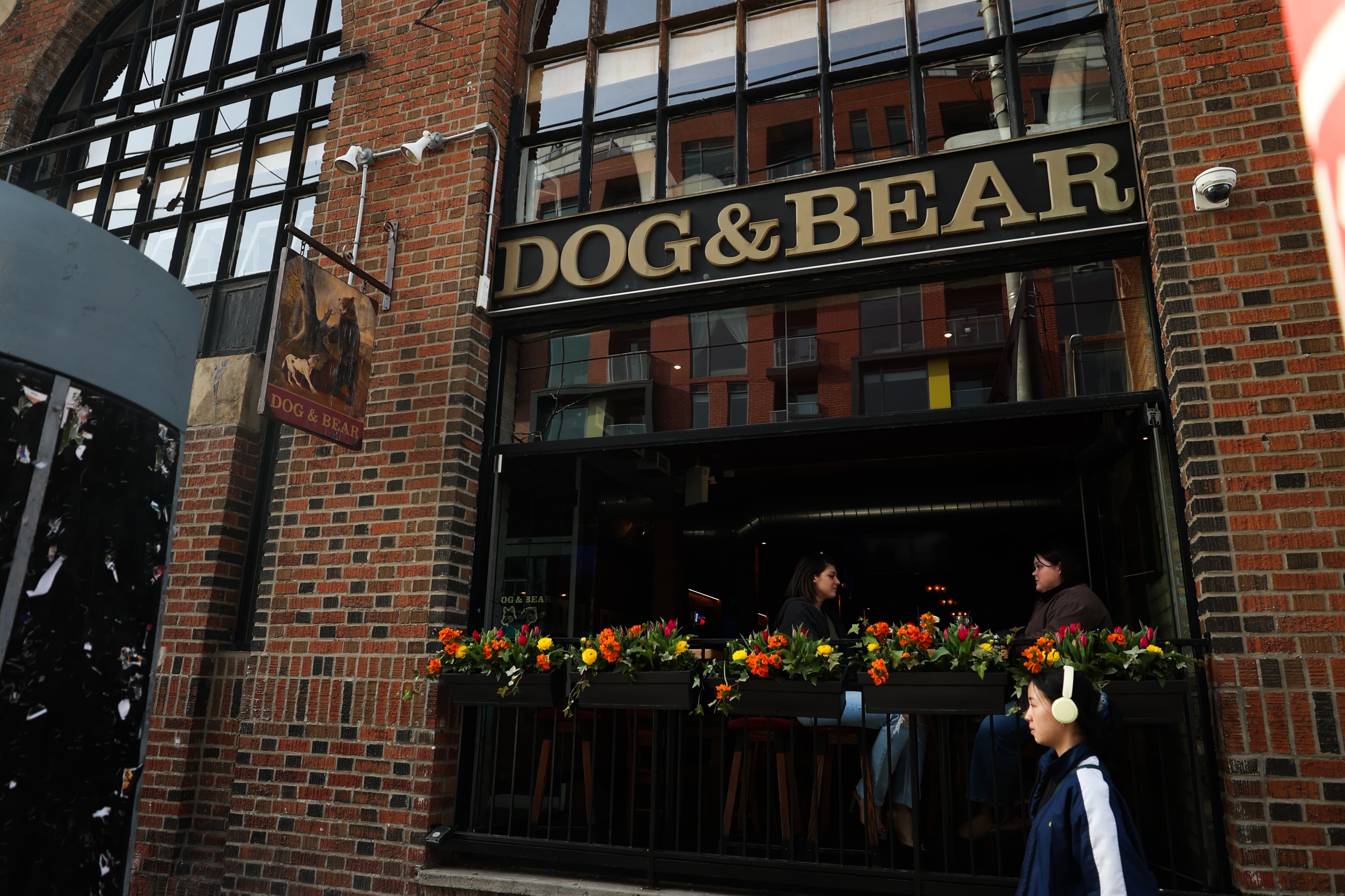 Dog & Bear
