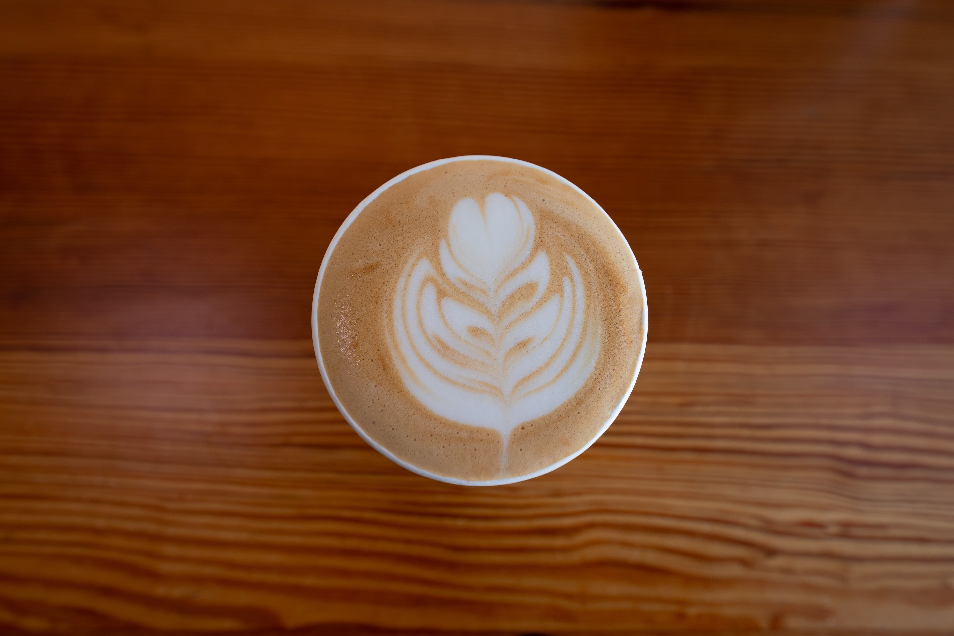 Academy Coffee ATL