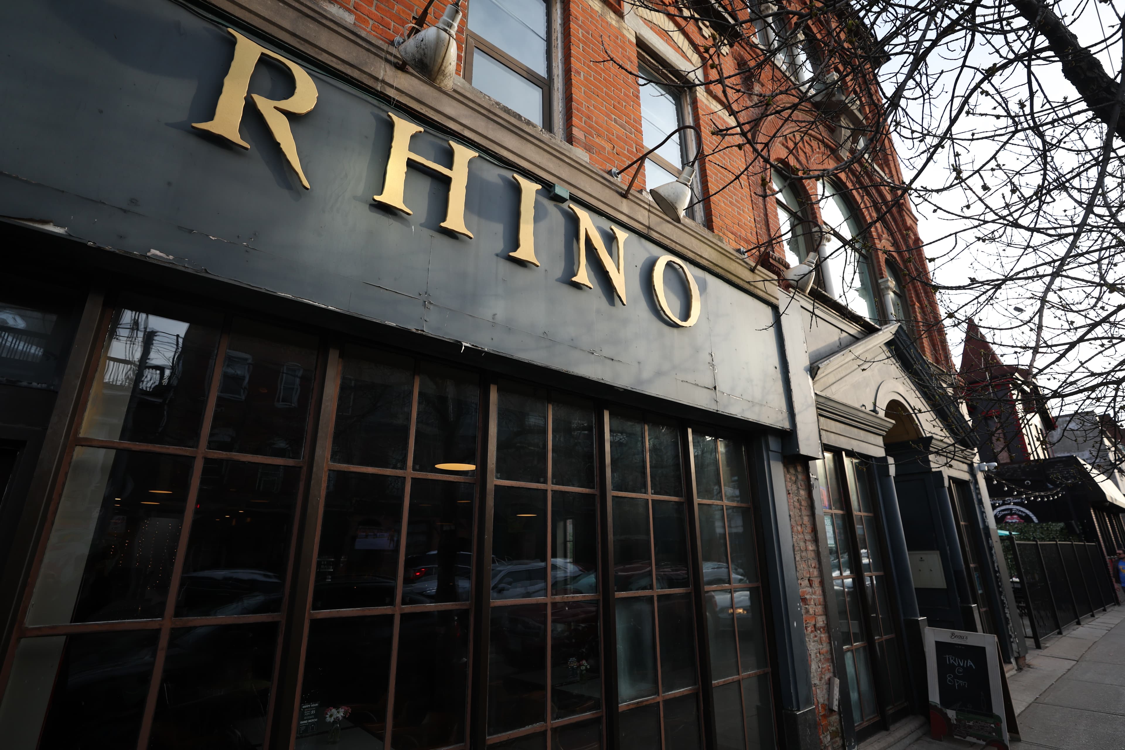 The Rhino