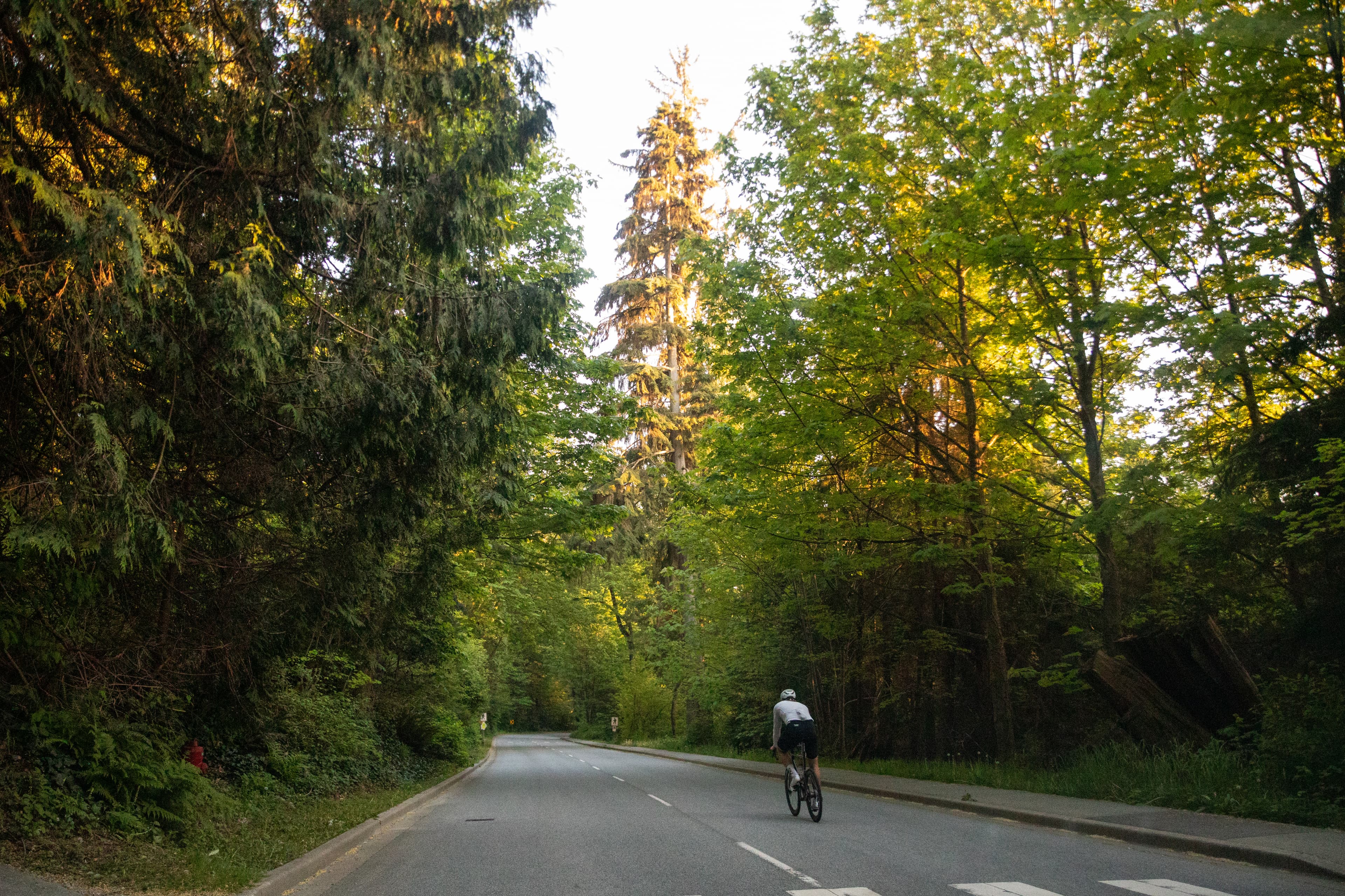 Stanley Park