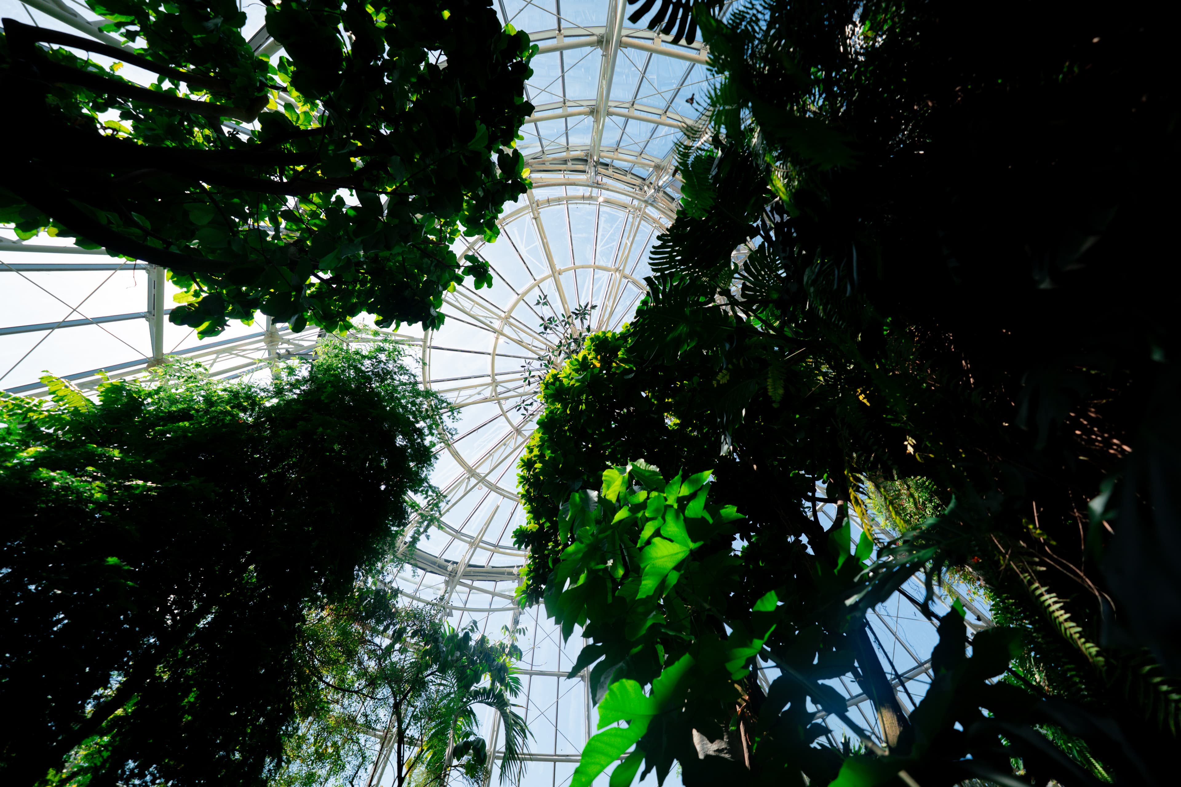 Houston Museum of Natural Science