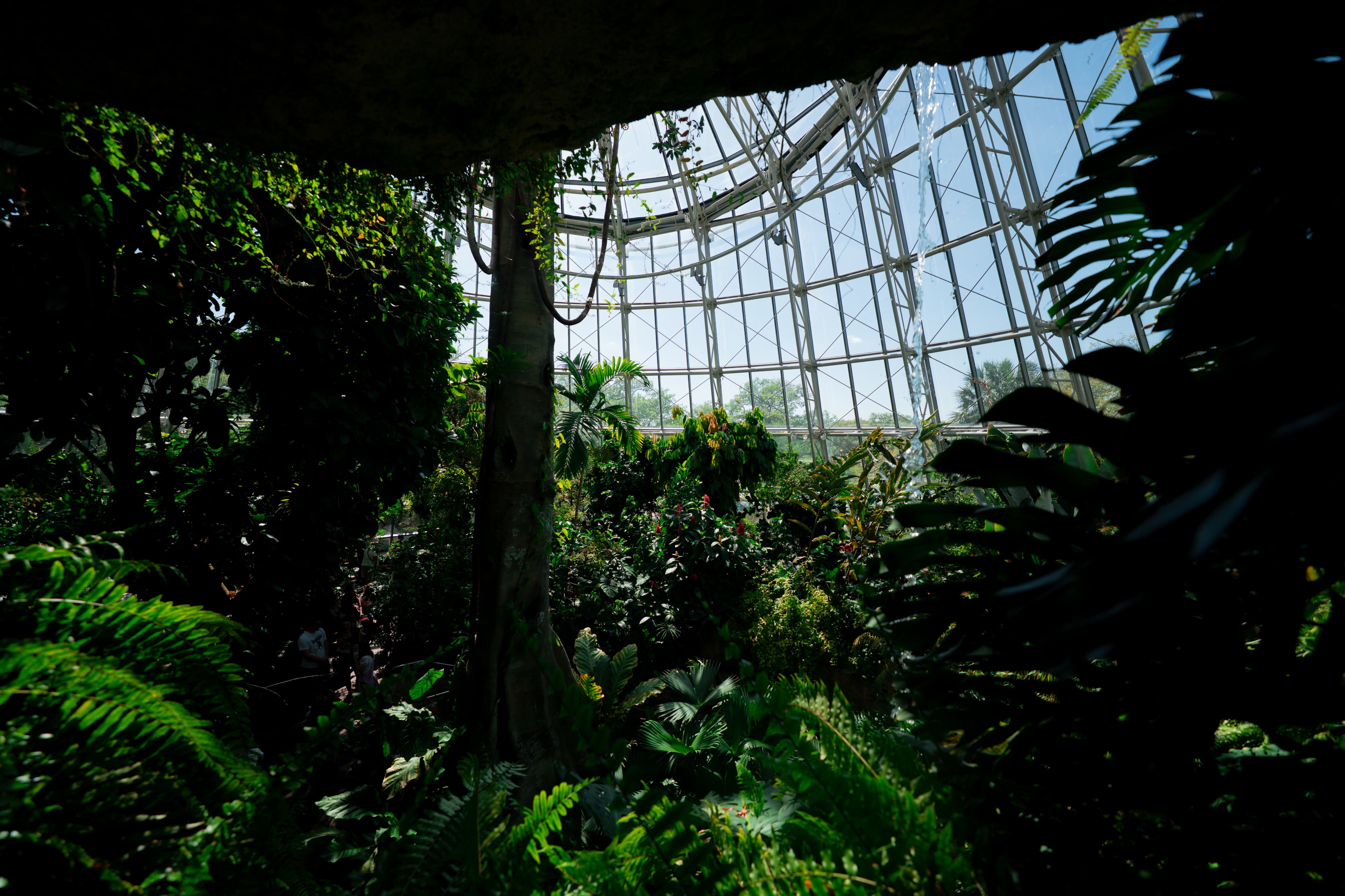 Houston Museum of Natural Science