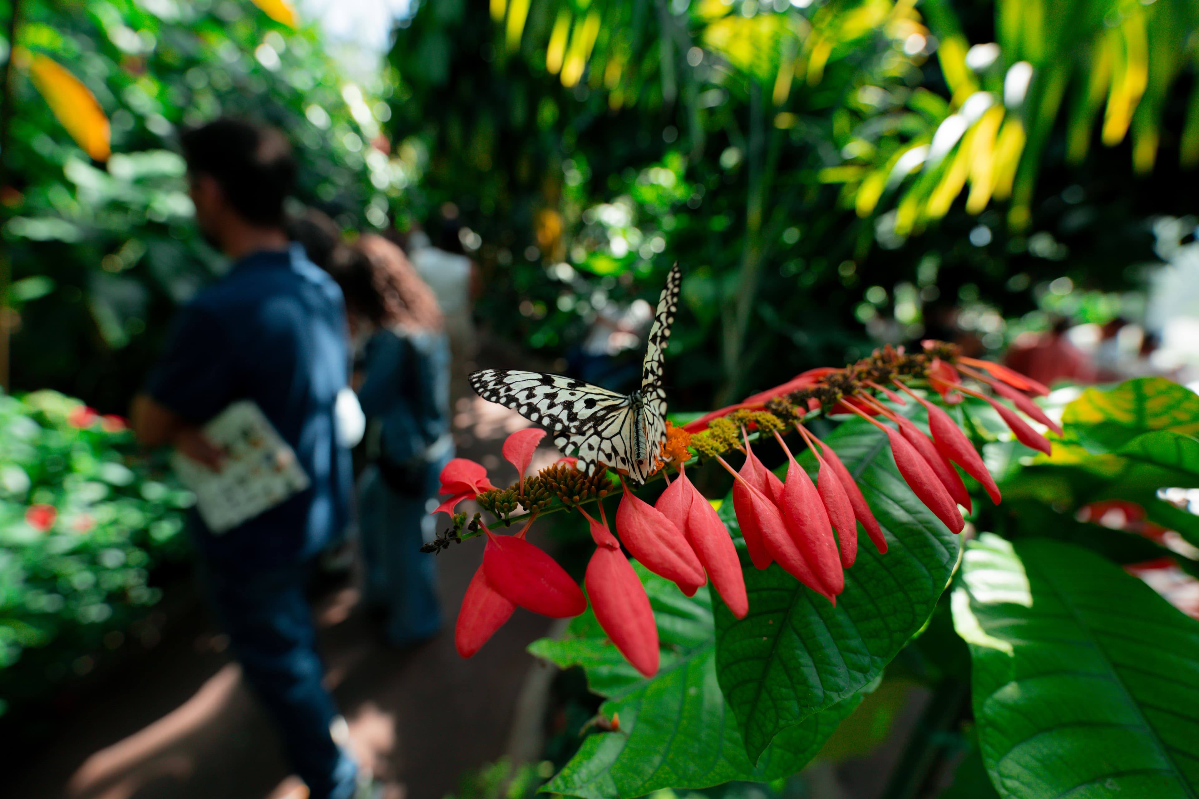 Houston Museum of Natural Science