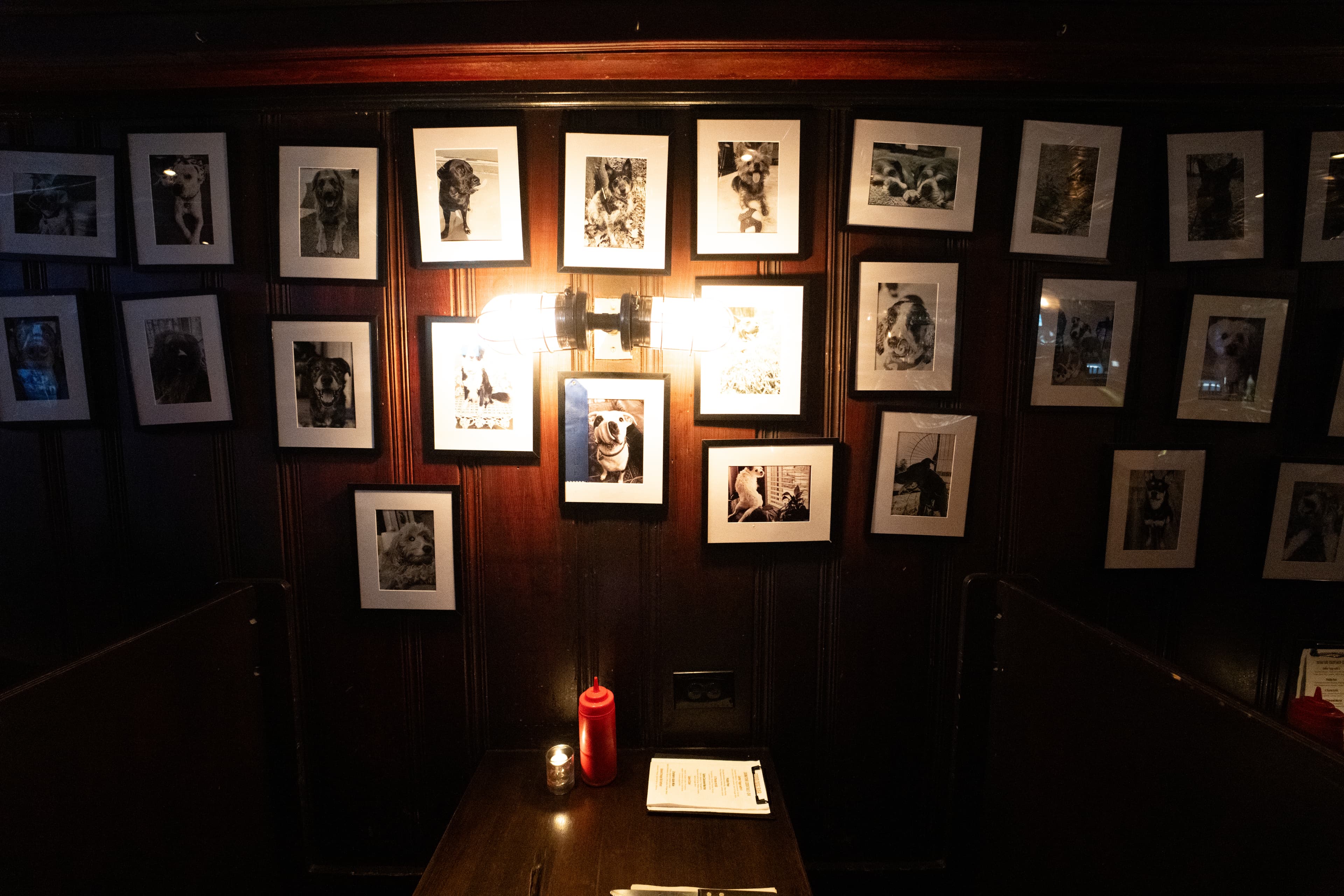 Good Dog Bar